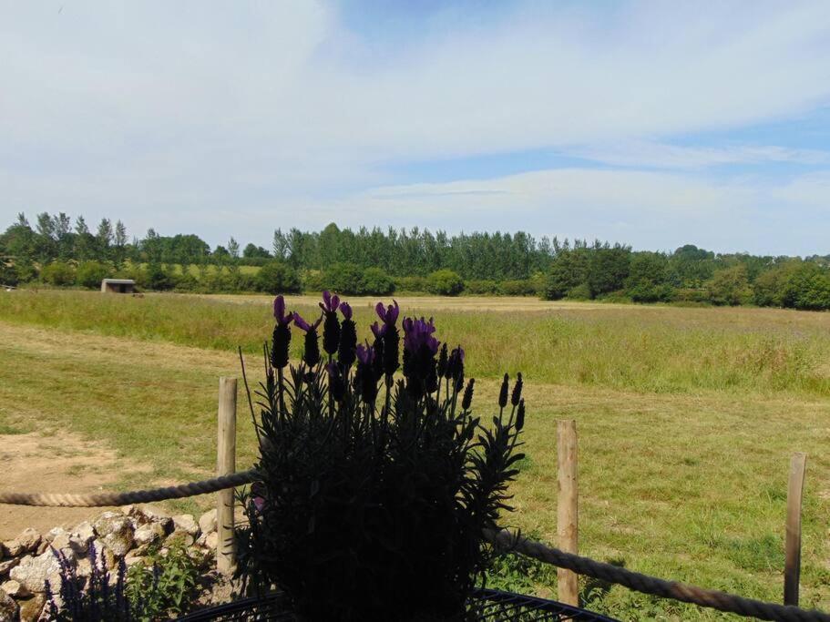 Secret & Secluded Sedlescombe Villa Battle Buitenkant foto